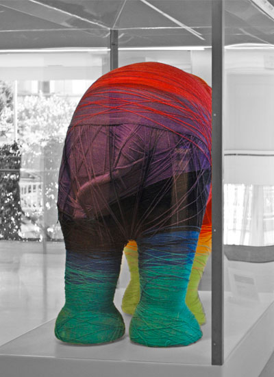 Portfolio Image